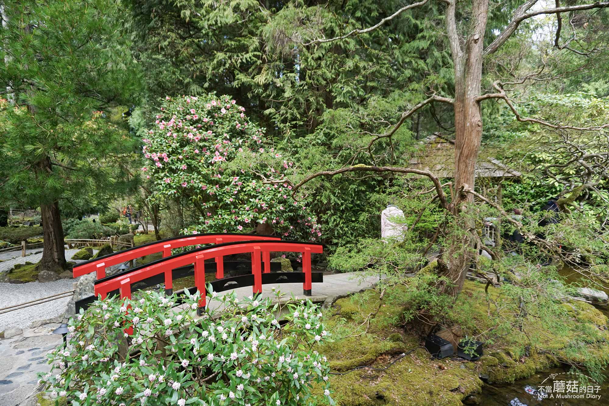 維多利亞 溫哥華島 加拿大 景點 布查花園 Butchart Garden